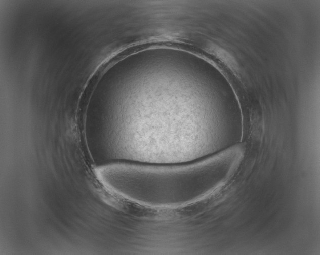 X0000084051308200702232341