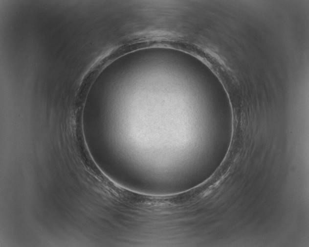 X0000084051309200702232341