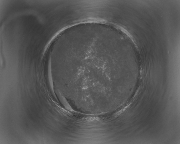 X0000084051310200702232341