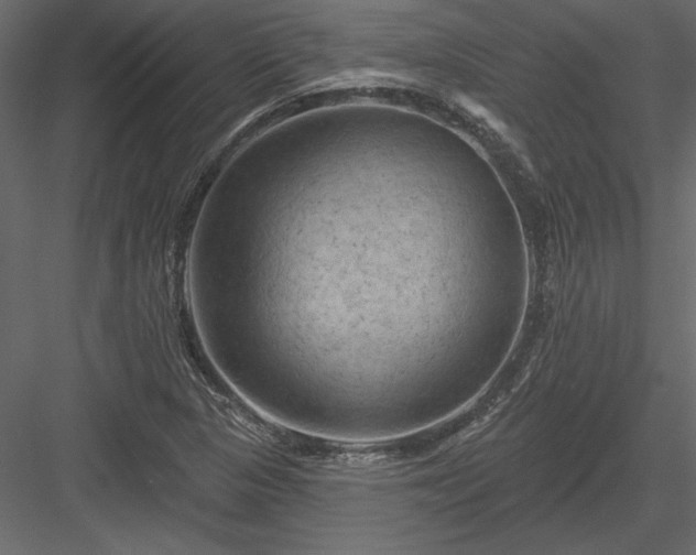 X0000084051313200702232341