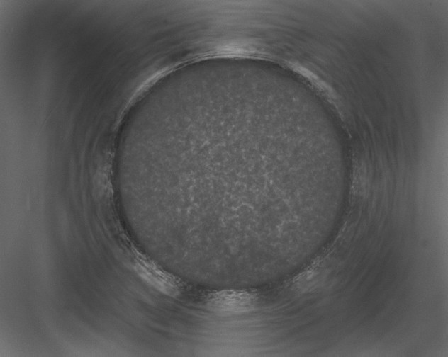 X0000084051314200702232341