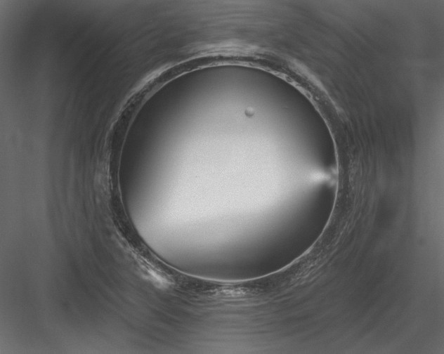 X0000084051315200702232341