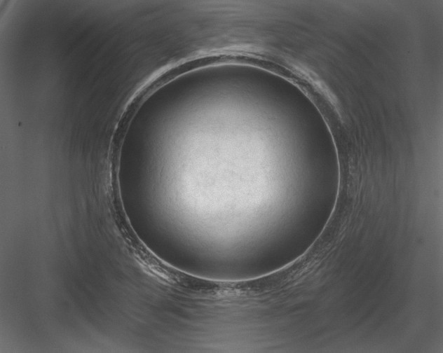 X0000084051316200702232341