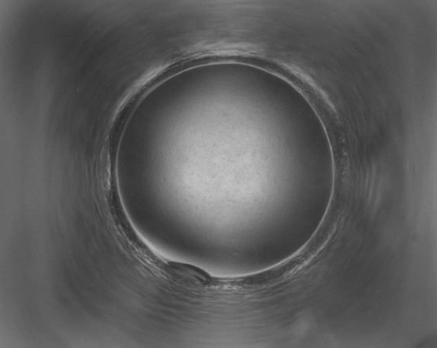 X0000084051317200702232341