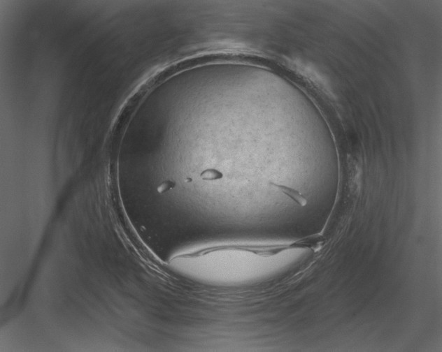 X0000084051318200702232341