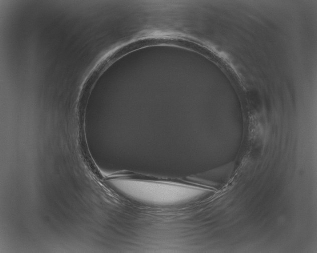 X0000084051319200702232341