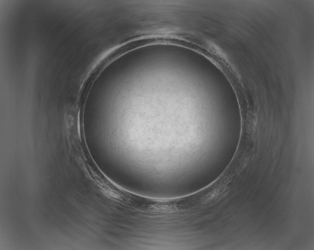 X0000084051320200702232341