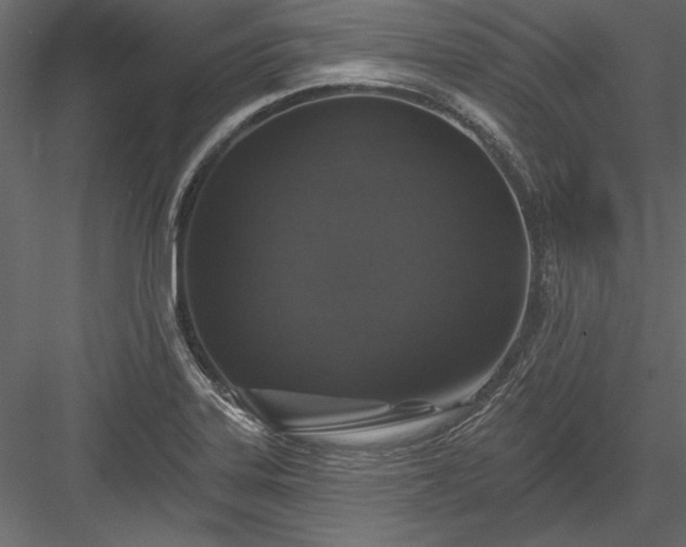 X0000084051323200702232341