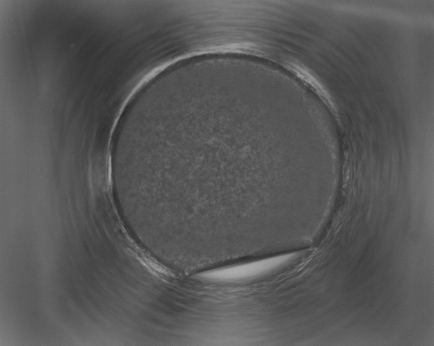 X0000084051324200702232341