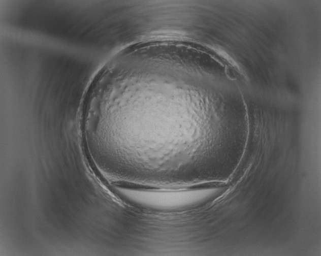 X0000084051325200702232341