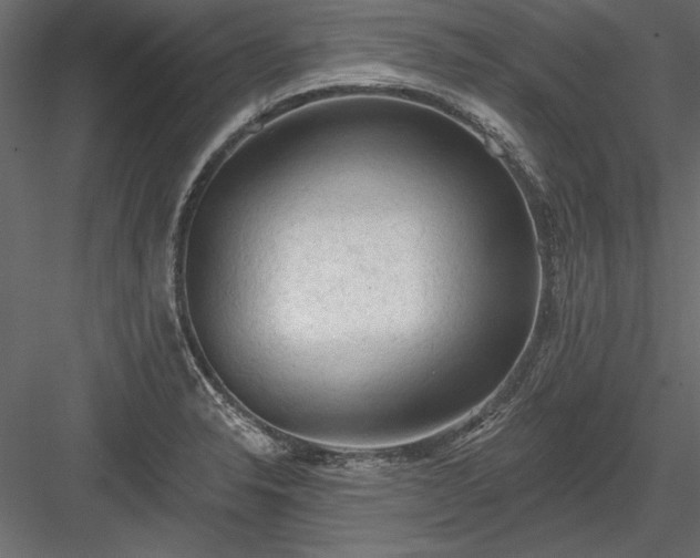 X0000084051326200702232341