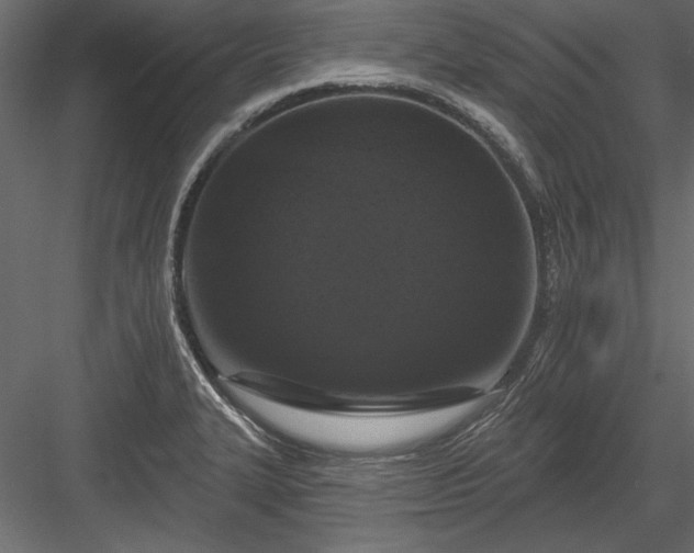 X0000084051327200702232341