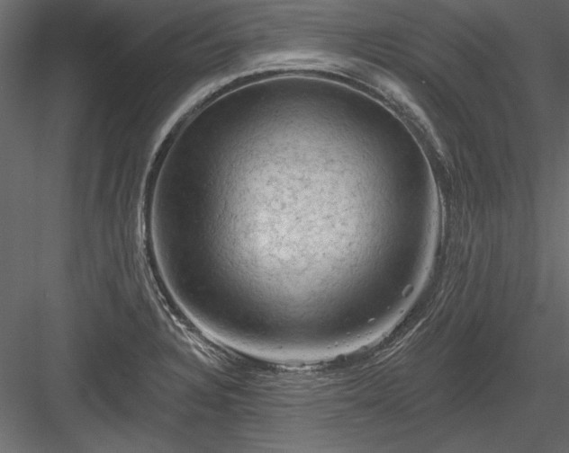 X0000084051328200702232341