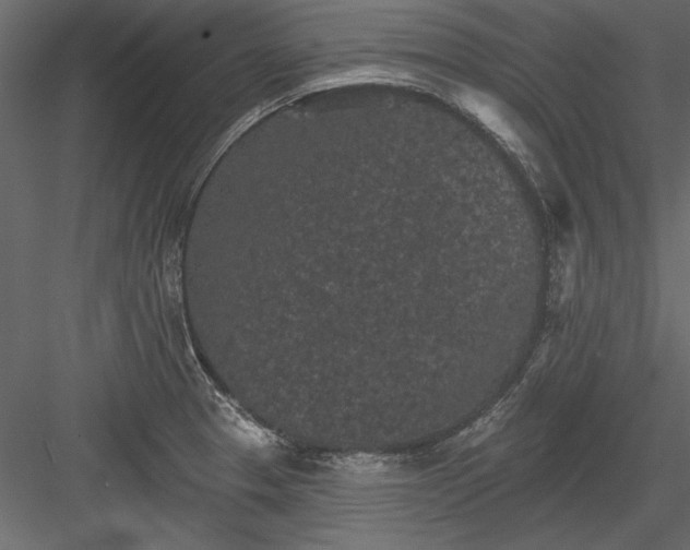 X0000084051329200702232341