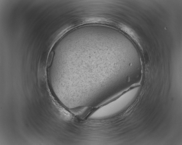 X0000084051330200702232341