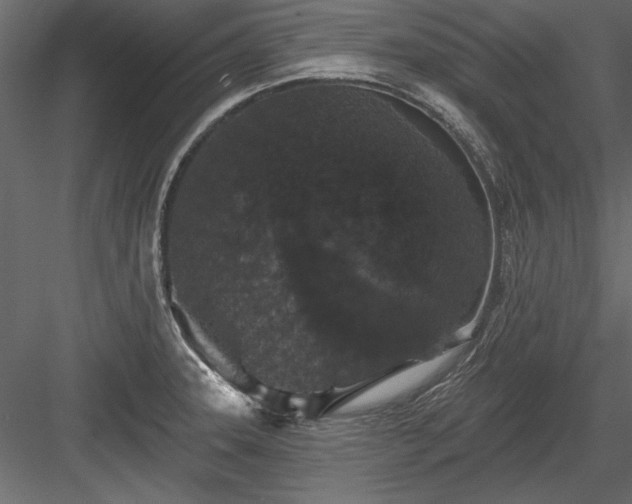 X0000084051331200702232341