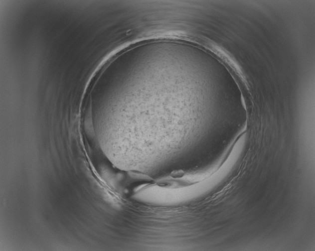 X0000084051332200702232341