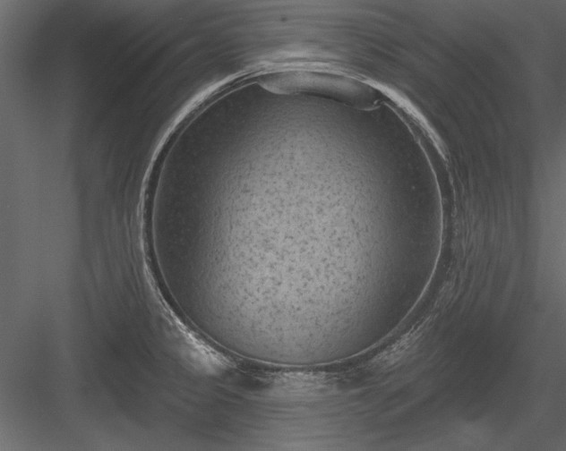 X0000084051333200702232341