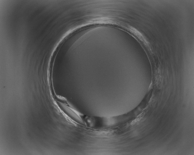 X0000084051334200702232341