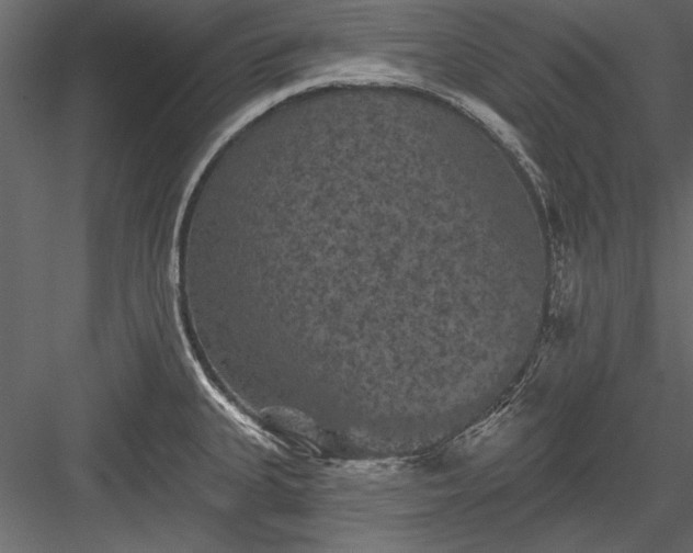 X0000084051335200702232341