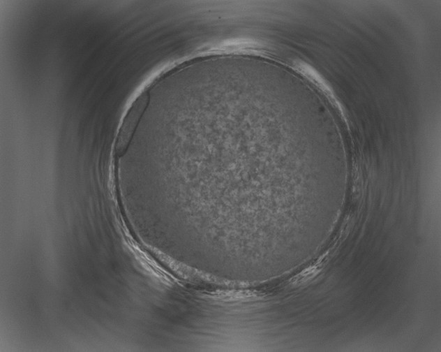 X0000084051336200702232341