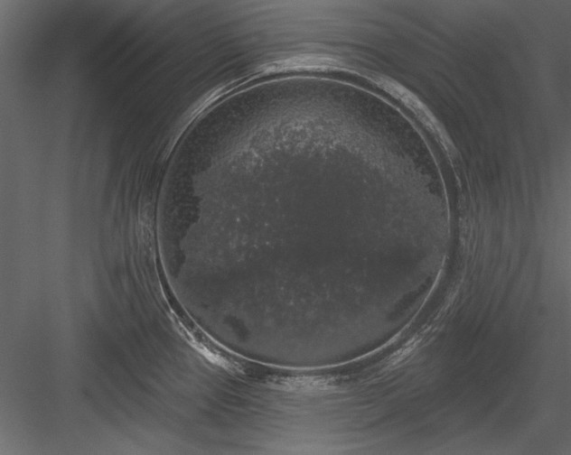 X0000084051337200702232341