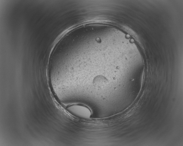 X0000084051338200702232341