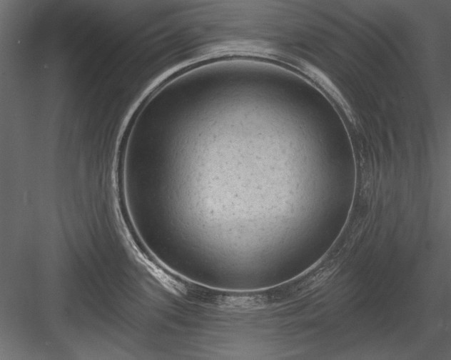 X0000084051339200702232341