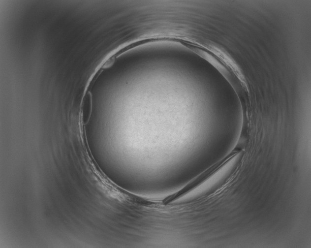 X0000084051340200702232341