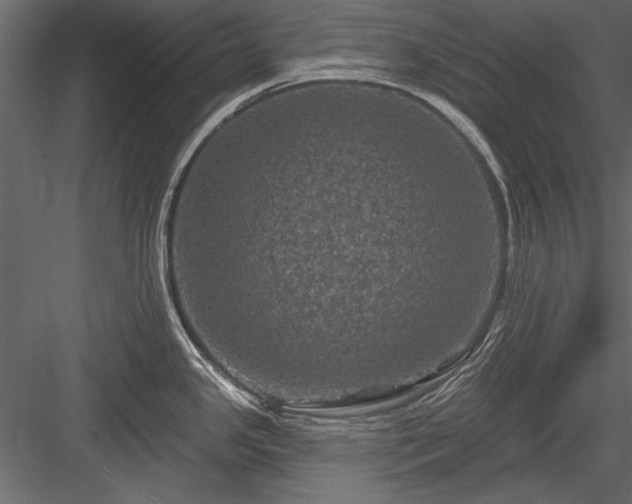 X0000084051341200702232341