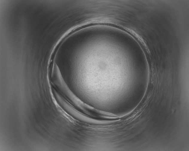 X0000084051342200702232341