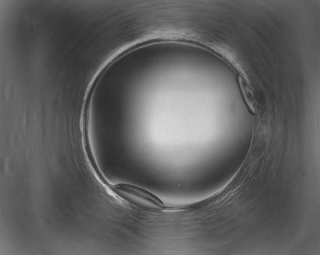 X0000084051343200702232341