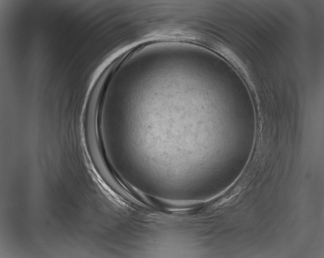 X0000084051344200702232341