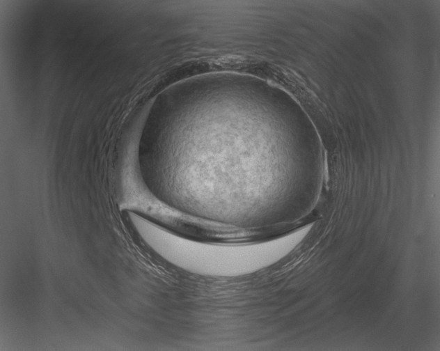 X0000084051345200702232340