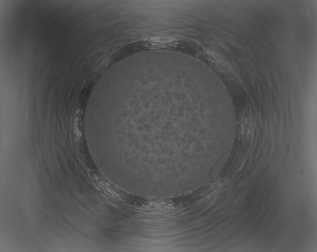 X0000084051346200702232340