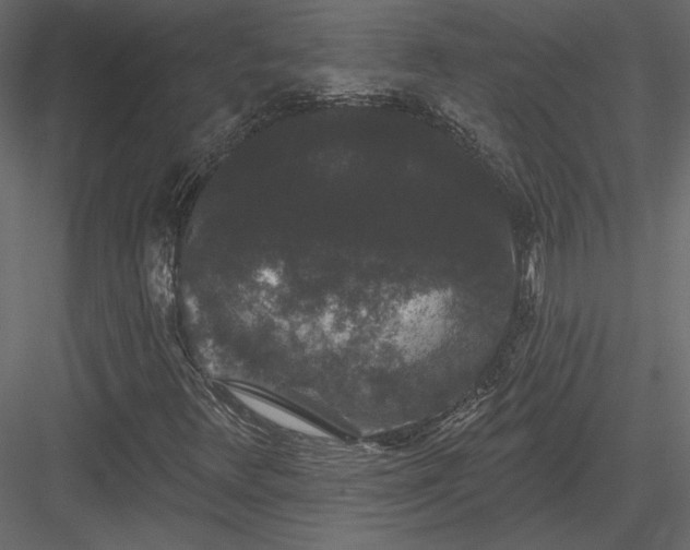 X0000084051348200702232340