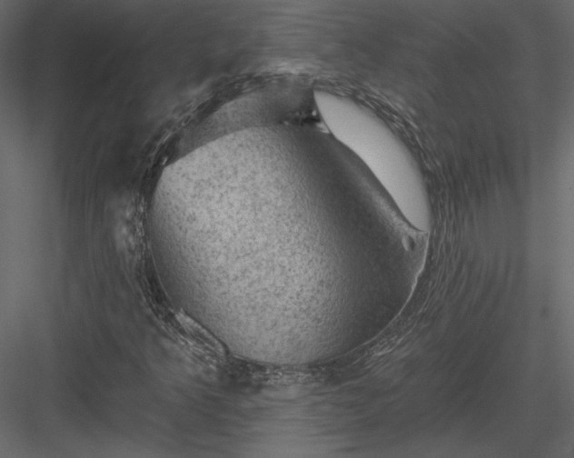 X0000084051349200702232340