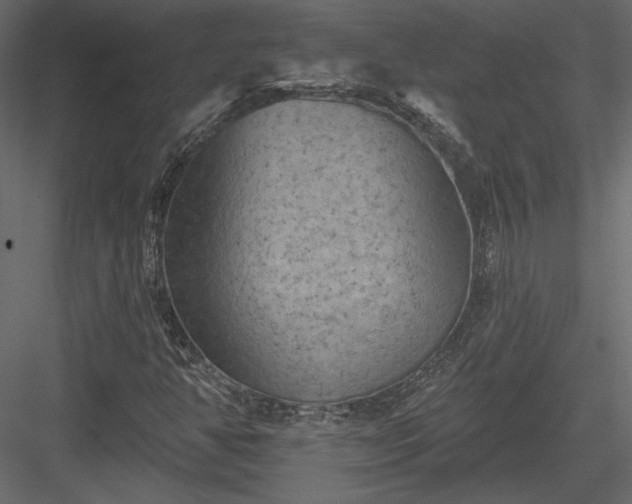 X0000084051350200702232340