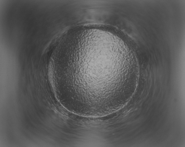 X0000084051351200702232340