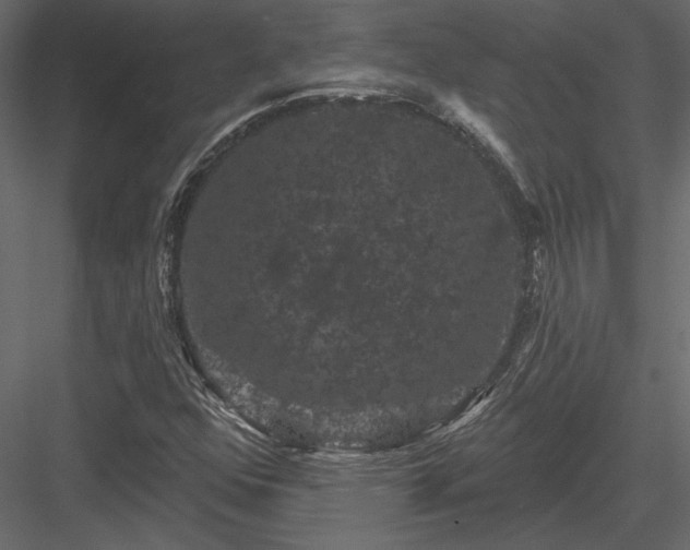 X0000084051352200702232340