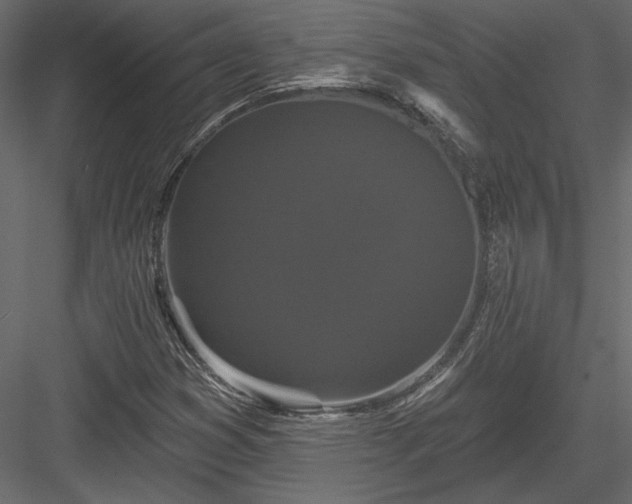 X0000084051353200702232340