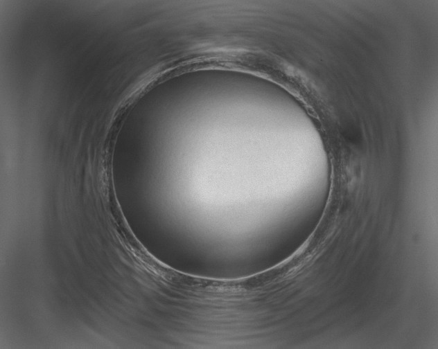 X0000084051354200702232340