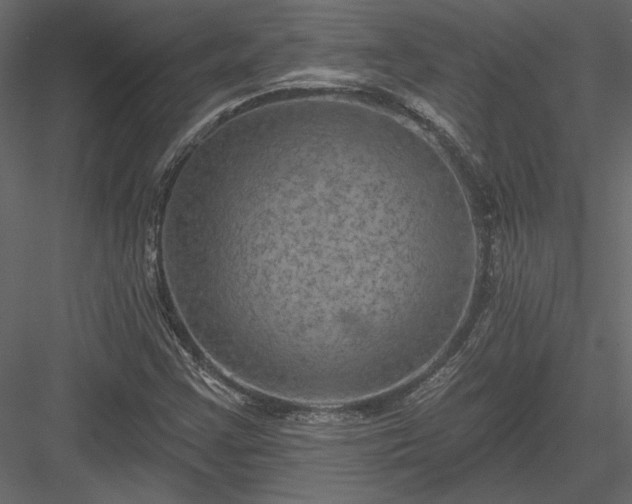 X0000084051355200702232340