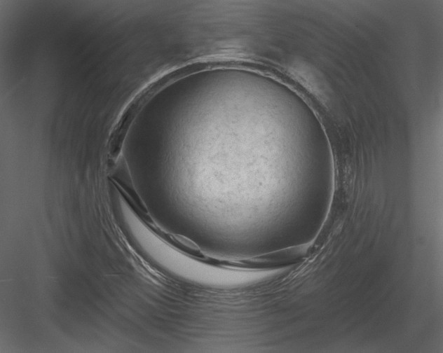 X0000084051356200702232340