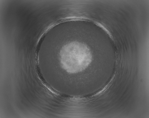 X0000084051357200702232340