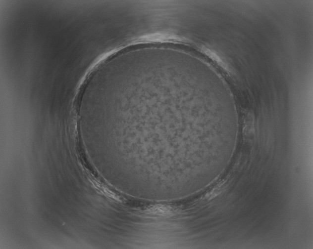 X0000084051358200702232340