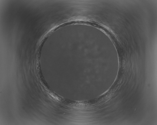 X0000084051359200702232340