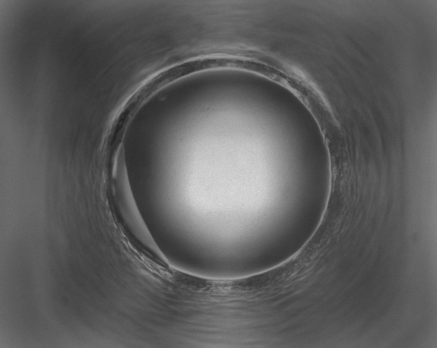 X0000084051360200702232340