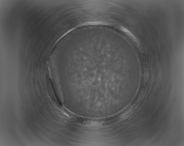 X0000084051361200702232340