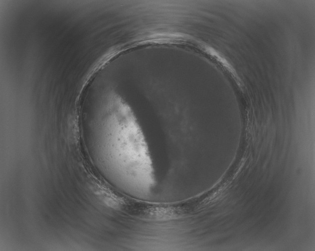 X0000084051362200702232340